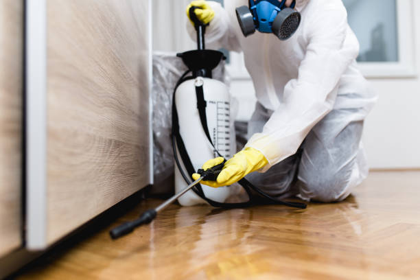 Best Mosquito Control Services  in New Franklin, MO