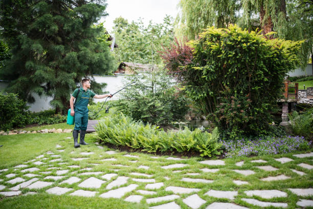 Best Ant Control Services  in New Franklin, MO