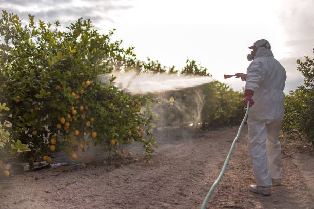 Best Best Pest Control Companies  in New Franklin, MO