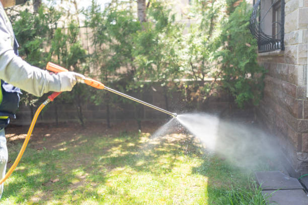Best Residential Pest Control  in New Franklin, MO