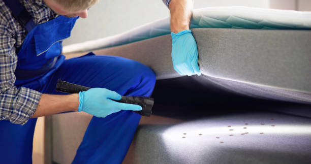 Best Emergency Pest Control  in New Franklin, MO