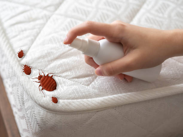 New Franklin, MO Pest Control Company
