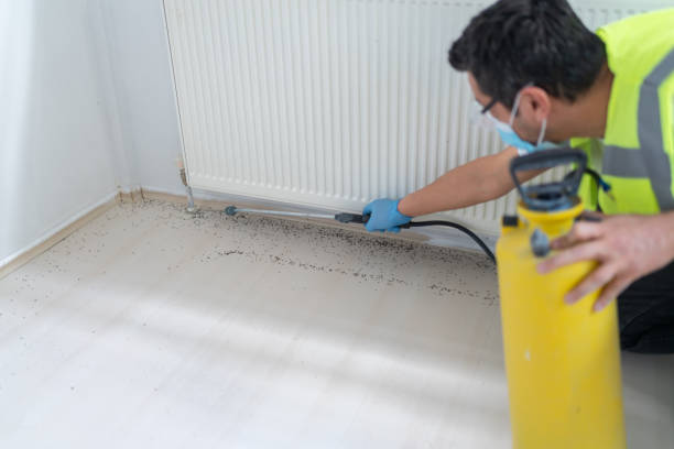 Best Cockroach Control Services  in New Franklin, MO
